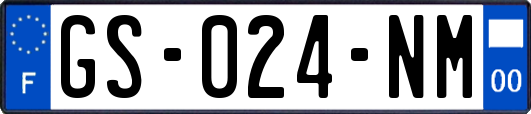 GS-024-NM
