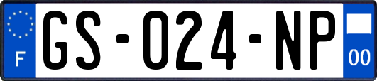 GS-024-NP