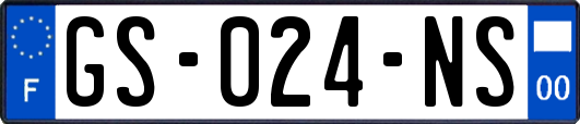 GS-024-NS