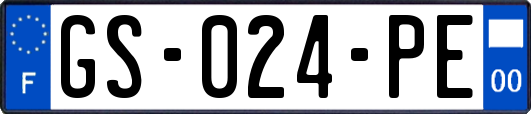 GS-024-PE