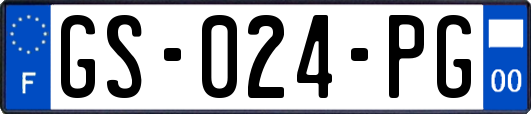 GS-024-PG