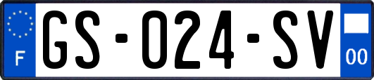 GS-024-SV