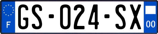 GS-024-SX
