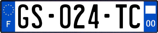 GS-024-TC