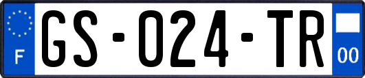 GS-024-TR