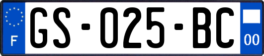 GS-025-BC