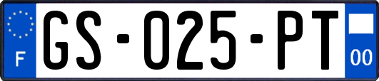 GS-025-PT