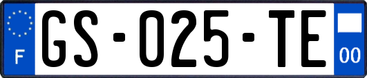 GS-025-TE