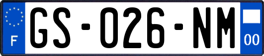 GS-026-NM