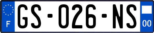 GS-026-NS