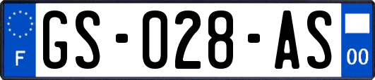 GS-028-AS