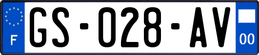 GS-028-AV