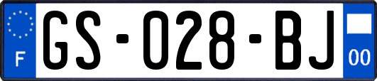 GS-028-BJ