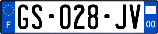 GS-028-JV