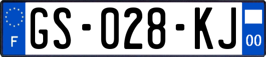 GS-028-KJ