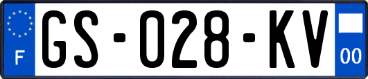GS-028-KV