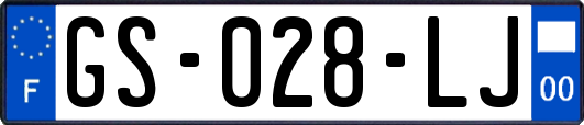 GS-028-LJ