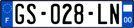 GS-028-LN