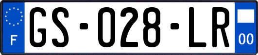 GS-028-LR