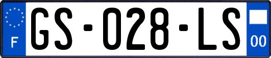 GS-028-LS
