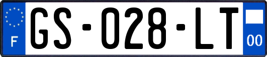 GS-028-LT