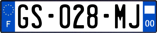 GS-028-MJ