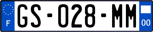 GS-028-MM