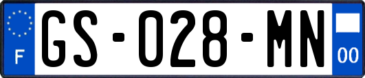 GS-028-MN