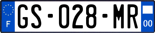 GS-028-MR