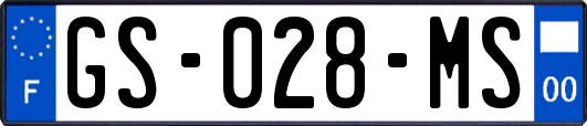 GS-028-MS