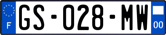 GS-028-MW