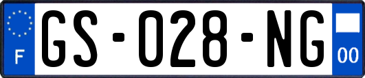GS-028-NG