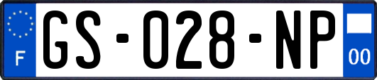 GS-028-NP