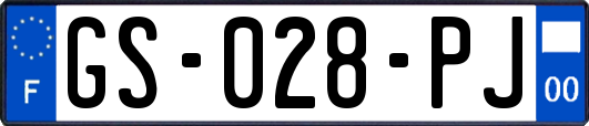 GS-028-PJ