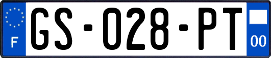 GS-028-PT