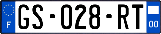 GS-028-RT