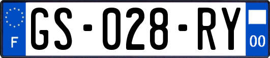 GS-028-RY