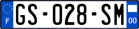 GS-028-SM