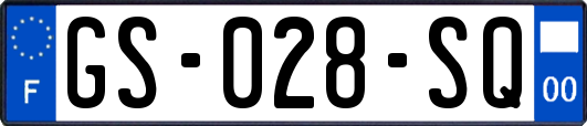 GS-028-SQ
