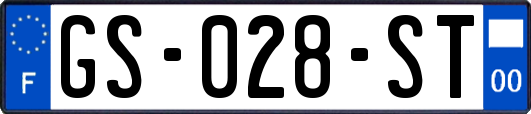 GS-028-ST