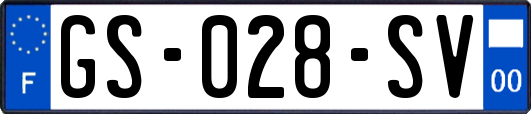 GS-028-SV