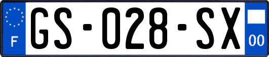 GS-028-SX