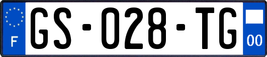 GS-028-TG