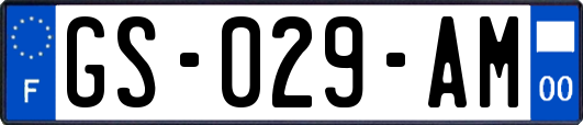 GS-029-AM