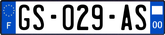 GS-029-AS