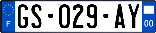 GS-029-AY