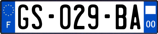 GS-029-BA