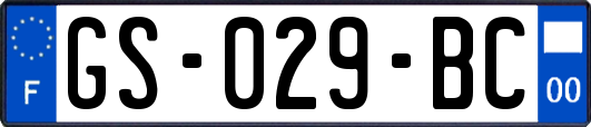 GS-029-BC