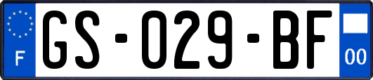 GS-029-BF