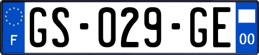 GS-029-GE